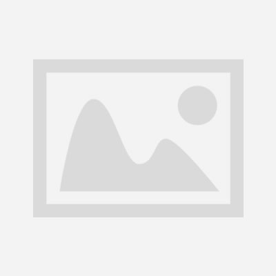 2025 Chinese New Year Holiday Plan