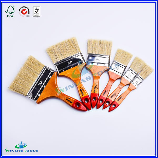 Bangladesh Paint brush