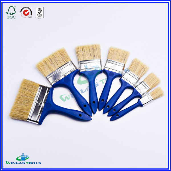 latin america paint brush